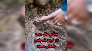 نشانه های که تایید کننده جاساز دفینه هستند #جاساز #گنج #دفینه