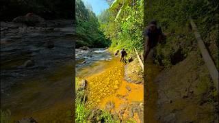 Look at this man finding a river material that contains a lot of gold #gold #goldenretreiver