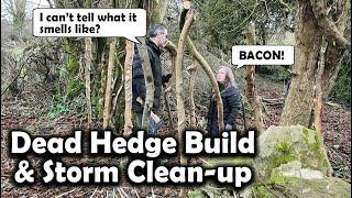 From Fallen Trees to Natural Hedge | Dead Hedge Build & Storm Clean-up