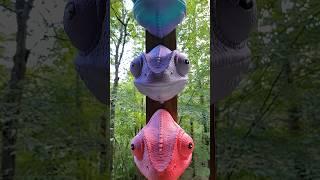 Adding some 3D Prints to my Outdoor Space