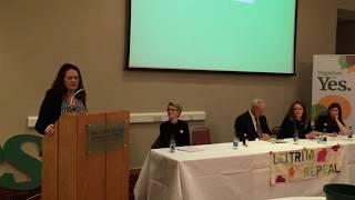 Arlette Lyons speaks at the launch of Leitrim Together for Yes