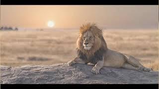 Lion King, Lion Of Judah Speech (CHRISTopher WALKen)