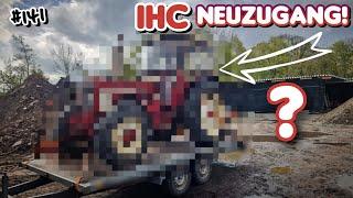 Neues PFERDCHEN im STALL | guter DEAL oder MINUSGESCHÄFT?? | IHC 733 | oldtimer_junkie