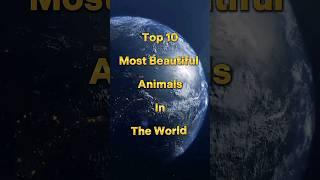 Top 10 Most Beautiful Animals In The World #shorts #viral #ytshorts #animals #beautiful