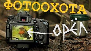 фотоохота на canon 70D и пара ништяков)