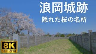 【浪岡城】浪岡城跡 青森市の隠れた桜の名所【青森市】8K