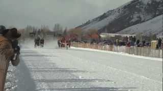 Cutter Races Jackson Hole WY