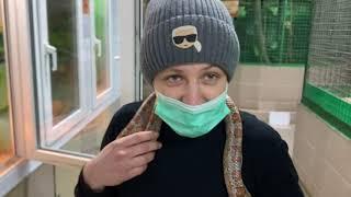 Ксюша знакомит со змеей! Зоопарк "СКАЗКА"!