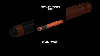 [방산톡톡] 천궁, 현궁, 비궁, 해성에서 무인수상정 해검까지! LIG넥스원의 무기체계가 궁금해?
