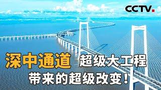 直击深中通道正式通车现场，24小时车流量超12.5万！除缩短车程，深中通道还将带来哪些超级改变？| CCTV「新闻1+1」20240701