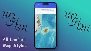 All Flutter Map Styles - A versatile mapping package for Flutter.