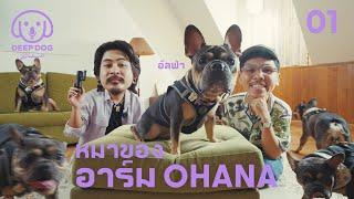 หมาของอาร์ม OHANA @aostory  - Deep Dog Podcast 01