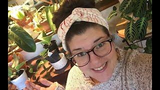 Fall 2021 Houseplant Show & Tell (Where the heck have I been?!?!)