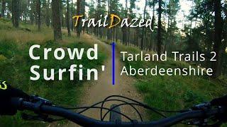 Crowd Surfin' - Tarland Trails 2. Blue flow jump trail