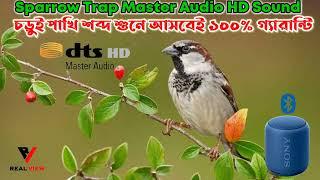 Sparrow Calling Trap Full HD Sound. চড়ুই পাখির ডাক।