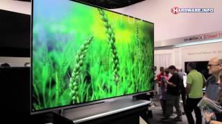 IFA: LG 55 inch OLED TV 55EM9600 (raw video)