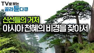 최고의 명산만 모았다. 신선이 되고자 했던 사람들이 만든 산속의 신선거｜최고의 절경을 찾아서｜세계테마기행｜#골라듄다큐