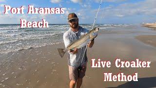 Surf Fishing PORT ARANSAS Beaches! Live CROAKER Method (My Way)