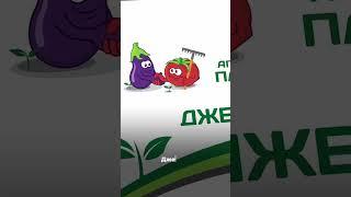  Аграрный репортаж: дело о подделках. Часть 2 #SemenaPartnerShorts