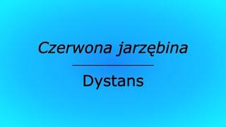 Czerwona jarzębina - Dystans (karaoke cover)