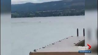 Ogopogo spotted Lake Okanagan ? - 2020 October