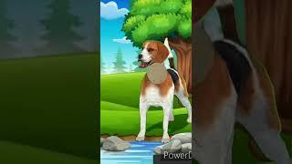 Stupid Dog| English Story | Moral Stories | Stories in English | English Stories