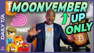 MOONVEMBER: BITCOIN AND MEMES ONLY UP FROM HERE!