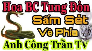 HOA BC "Tung ĐÒN" Sấm Sét Về Phía CÔNG TRẦN TV@cuongtamsu