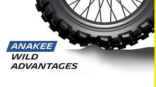 Radial technology on Michelin Anakee Wild | Michelin