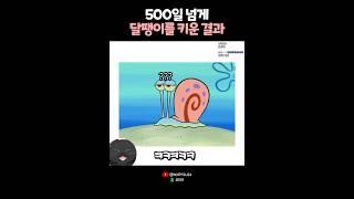 500일 넘게 달팽이를 키운 결과? 