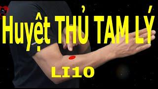 Li10 | Huyệt Thủ tam lý | Kinh Thủ dương minh đại trường | Acupoint VIKUDO