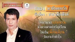 มาลัยดอกรัก ชาย เมืองสิงห์ คาราโอเกะ #แม่ไม้เพลงไทย #เพลงต้นฉบับ