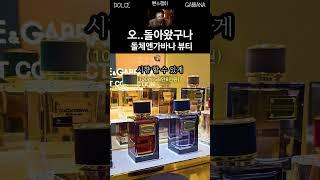 오..돌아왔구나 돌체앤가바나 뷰티