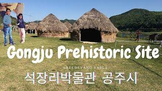 Gongju Prehistoric Site - 석장리박물관 공주시