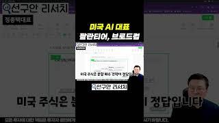 미국 AI 대표 팔란티어, 브로드컴