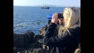 Do GOOD Outdoors with Whale Scout