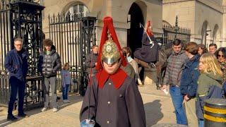 "Majestic Moments: Enjoying a Splendid Day with Regal Horses at Horse Guards Parade! 