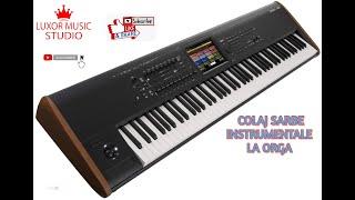 COLAJ SARBE INSTRUMENTALE LA ORGA 2020 BY LUXOR MUSIC STUDIO - MUZICA DE PETRECERE