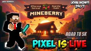 MINECRAFT LIVE! | MINEBERRY| CRACKED | 24/7 | Join Now | Hindi | LATER PHASMO