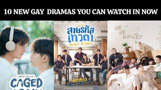 10 new Gay Romance Dramas you can watch in 2024 | Dramovia