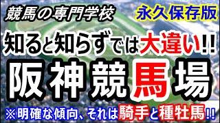 【競馬】阪神競馬場攻略ポイント 初心者の方は特に必見【競馬の専門学校】