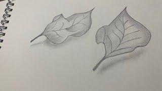 How to draw leaf sketch | How to practice sketch | @AcTvT9 #AcTvT #sketch #drawing #artist