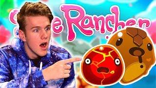 NEW SLIMES! (SLIME RANCHER LIVE)