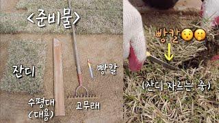 집에서 셀프로 잔디 식재하는 사람들은 꼭 봐야할 영상! | 잔디 시공 처음부터 끝까지 자세하고 간단하게 설명 해드립니다!