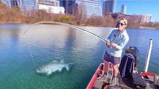 I Caught The Lady Bird Lake Monster! (Fishing Downtown Austin Texas)