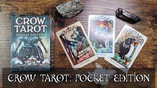 Crow Tarot Pocket Edition | Unboxing and Comparison