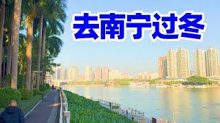 【回国旅居广西42】南宁, 冬日的清晨夏意盎然/南宁江南公园/Nanning/Guangxi Nanning/广西养老/南宁旅游/南宁生活