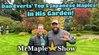 Top 5 Japanese Maples in Dan Everts’ Garden! See the Trees on Location in this Incredible Garden!