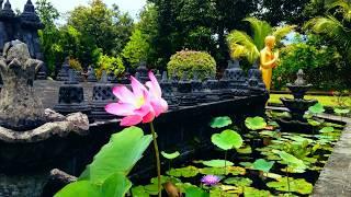 Lotus Flower Blown by the Wind in the Lotus Pond Monastery