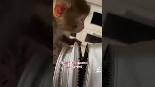 Когда все нужно знать ! #shorts